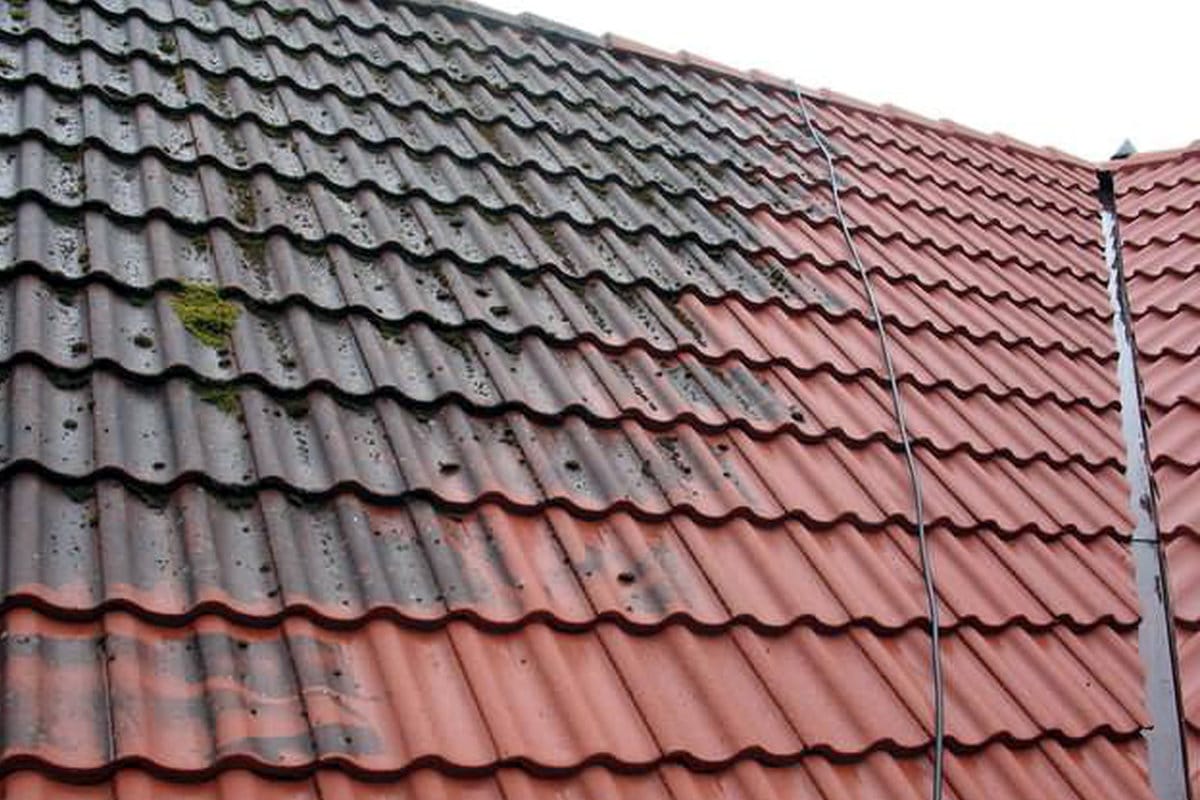 moss-on-roof-tiles